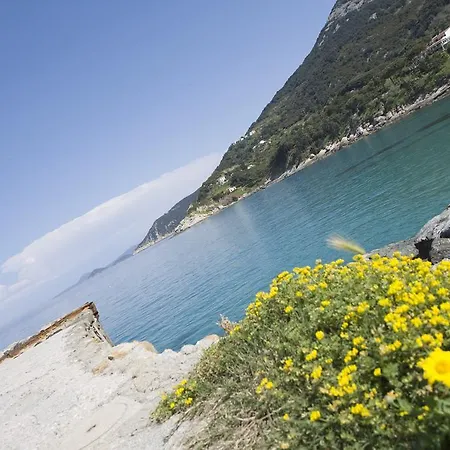 Barsalini 3*